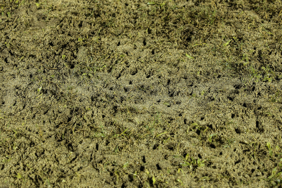 Vết giày đinh của cầu thủ hai đội ở khu vòng tròn trung tâm. (Ảnh: Minh Chiến/Vietnam+)