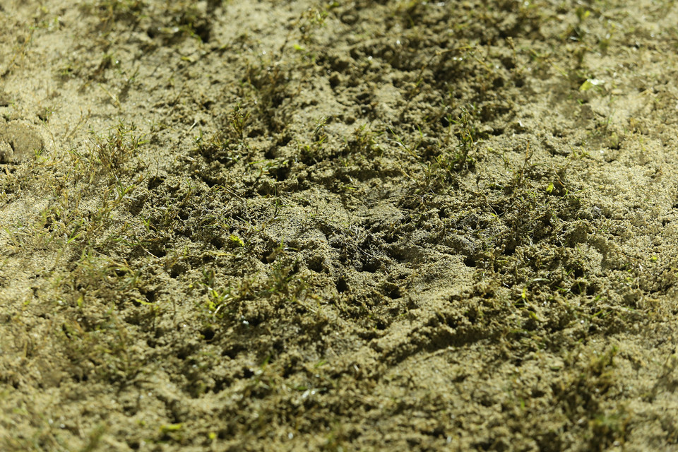 Sân Thanh Hóa mới được sửa chữa cách đây chưa lâu và là một trong số ít sân bóng đạt chuẩn thi đấu của Liên đoàn bóng đá Việt Nam (VFF). (Ảnh: Minh Chiến/Vietnam+)