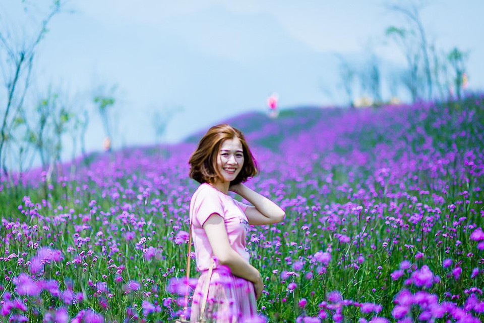 Đặc biệt hơn, nếu lên Fansipan vào đúng dịp này, bạn sẽ bị hút hồn bởi một triền hoa tím ngát dịu dàng khu vực ga đi cáp treo Fansipan. (Ảnh: CTV)