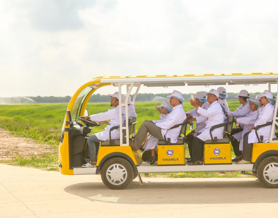  Sự thích thú của đại diện phụ huynh, nhà trường khi được chứng kiến một màu xanh non bạt ngàn của hơn 500 ha đồng cỏ và bắp canh tại "Resort" bò sữa Vinamilk. (Ảnh: CTV)