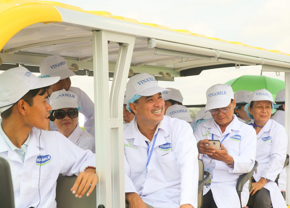  Sự thích thú của đại diện phụ huynh, nhà trường khi được chứng kiến một màu xanh non bạt ngàn của hơn 500 ha đồng cỏ và bắp canh tại "Resort" bò sữa Vinamilk. (Ảnh: CTV)