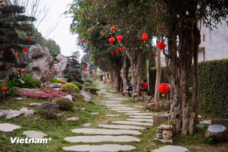 Năm 2015, đại đức Thích Đạo Thịnh bắt đầu cho dựng pho đại tượng phật A Di Đà, với thông điệp vì hòa bình thế giới. Với chiều cao 72m, đây được xem là một pho tượng đồ sộ bậc nhất khu vực Đông Nam Á. (Ảnh: CTV/Vietnam+)