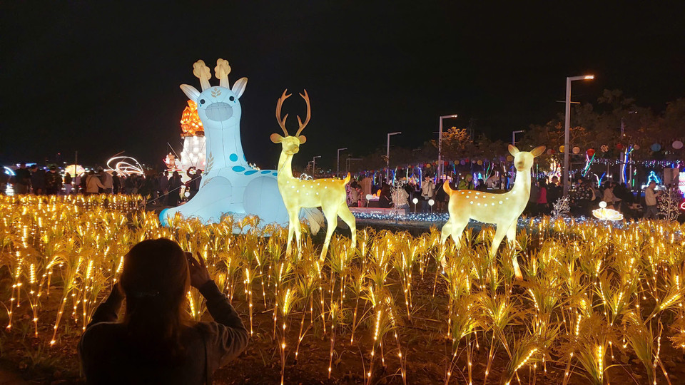 Lễ hội là sự hội tụ của các yếu tố công nghệ, văn hóa, nghệ thuật và sự hợp tác cộng đồng để kể một câu chuyện sống động về sự đổi mới. (Ảnh: Minh Thu/Vietnam+)