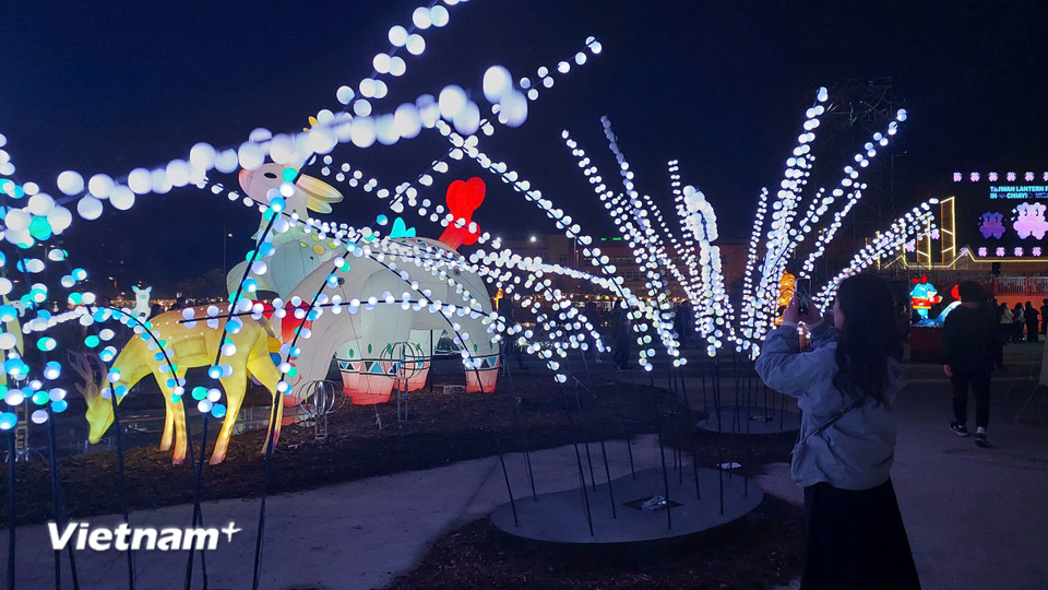 Lễ hội trở thành điểm check-in yêu thích của giới trẻ. (Ảnh: Minh Thu/Vietnam+)