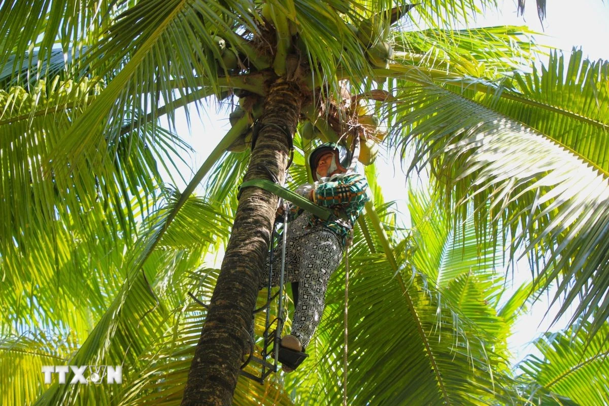 Cần Thơ phát huy lợi thế sông nước, xây dựng sản phẩm du lịch sinh thái đặc thù