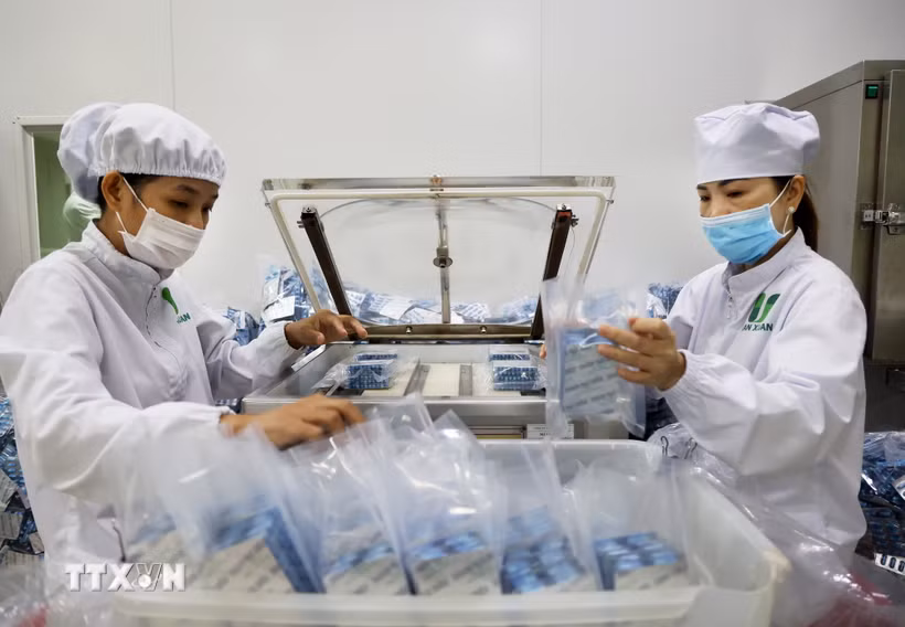 Đóng gói dược phẩm loại viên nang tại nhà máy sản xuất dược phẩm. (Ảnh: Hồng Đạt/TTXVN)