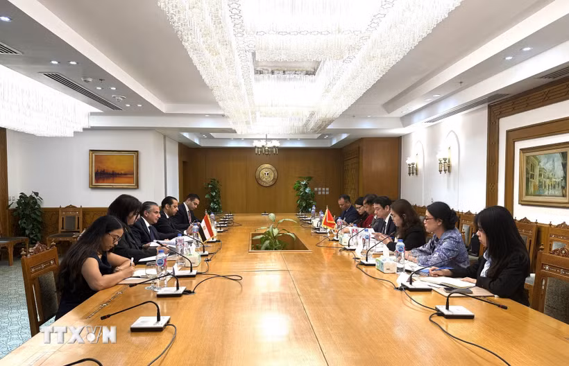 Quang cảnh Kỳ họp lần thứ 11 Tham vấn chính trị Việt Nam-Ai Cập. (Ảnh: Hoàng Nhương/TTXVN)