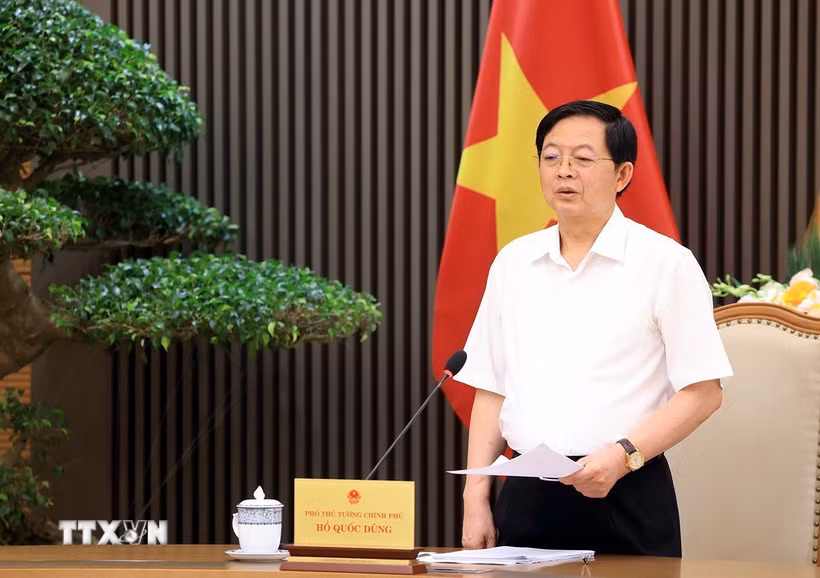 Phó Thủ tướng Hồ Quốc Dũng phát biểu. (Ảnh: Tuấn Anh/TTXVN)