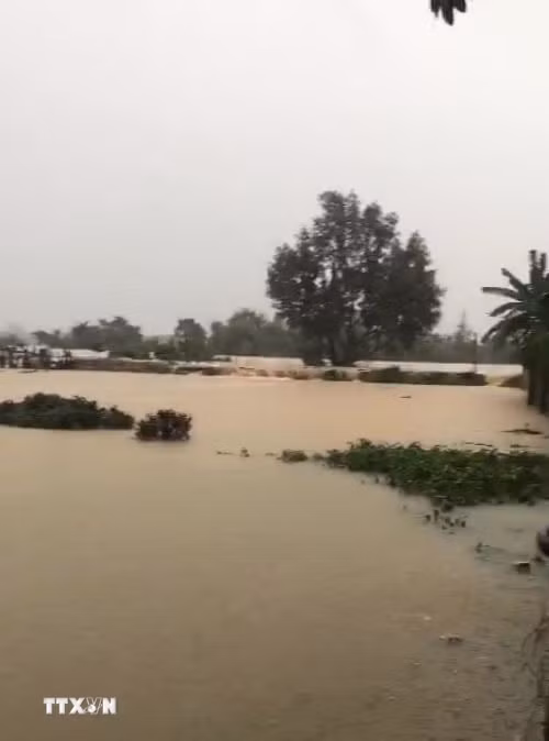 Nước lũ dâng cao làm vỡ đê bối sông Cầu tại tổ 33, phường Phan Đình Phùng, tỉnh Thái Nguyên. (Ảnh: Thảo Nguyên/TTXVN)