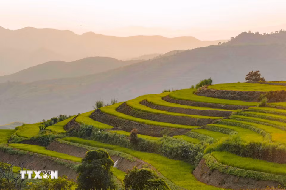 Ánh nắng chiếu xuống những thửa ruộng bậc thang, làm nổi bật các đường cong và từng lớp ruộng trên sườn đồi Pu Nhi. (Ảnh: Xuân Tư/TTXVN)