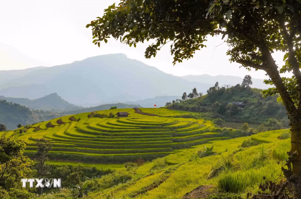 Khung cảnh yên bình, lãng mạn trên cánh đồng bậc thang Pu Nhi. (Ảnh: Xuân Tư/TTXVN)
