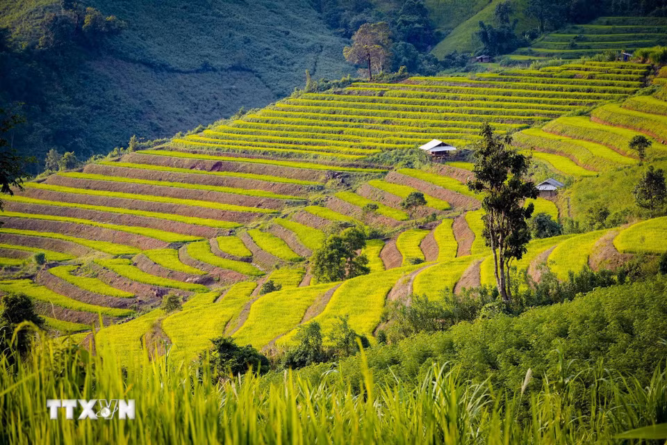Những thửa ruộng bậc thang trải dài trên sườn núi ở vùng cao Pu Nhi. (Ảnh: Xuân Tư/TTXVN)