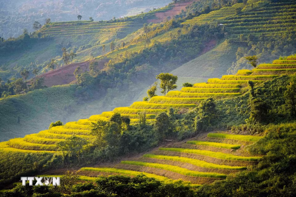 Ruộng bậc thang tầng tầng, lớp lớp theo sườn núi. (Ảnh: Xuân Tư/TTXVN)