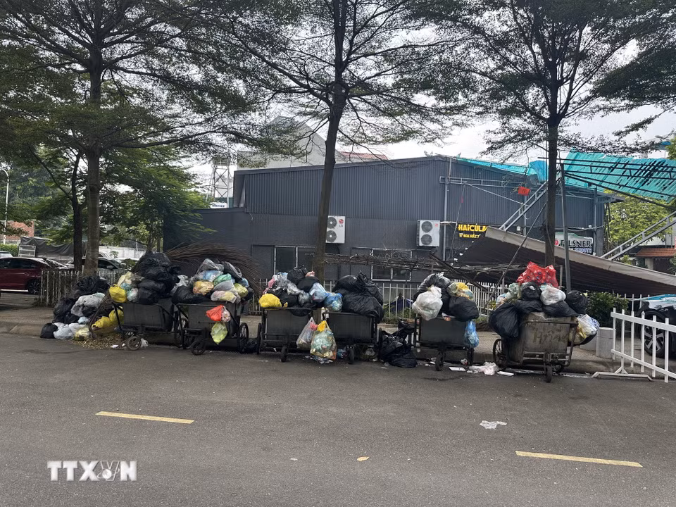 Rác thải ùn ứ tại khu vưcn đường Phan Chu Trinh, phường Vĩnh Phúc. (Ảnh: Nguyễn Thảo/TTXVN)