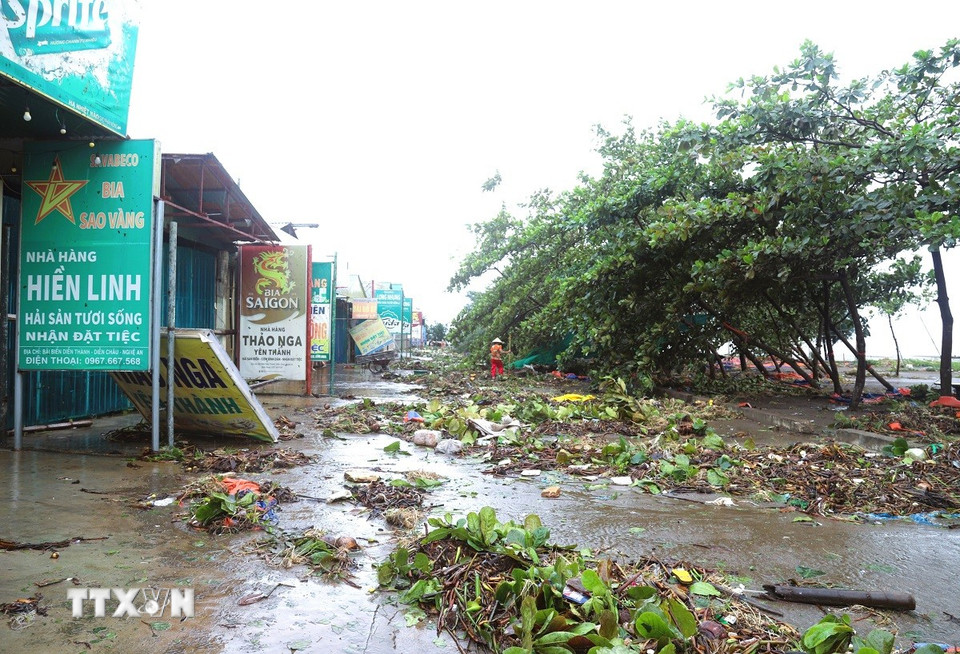 Tuyến đường ven biển qua Khu du lịch biển Diễn Thành (xã Diễn Châu, tỉnh Nghệ An) ngổn ngang cây đổ sau bão số 5. (Ảnh: Xuân Tiến/TTXVN)