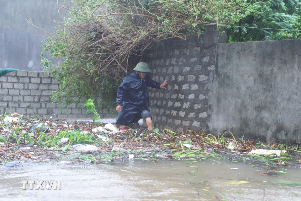 Người dân xóm Đông Lộc (xã Diễn Châu, tỉnh Nghệ An) khó khăn khi di chuyển qua những điểm ngập có nhiều cành cây gãy đổ. (Ảnh: Xuân Tiến/TTXVN)