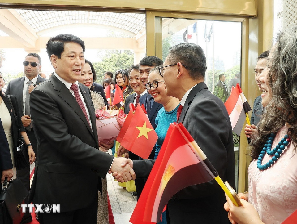 Kiều bào đón Chủ tịch nước Lương Cường và Phu nhân tại Thủ đô Cairo, Ai Cập. (Ảnh: Lâm Khánh/TTXVN)