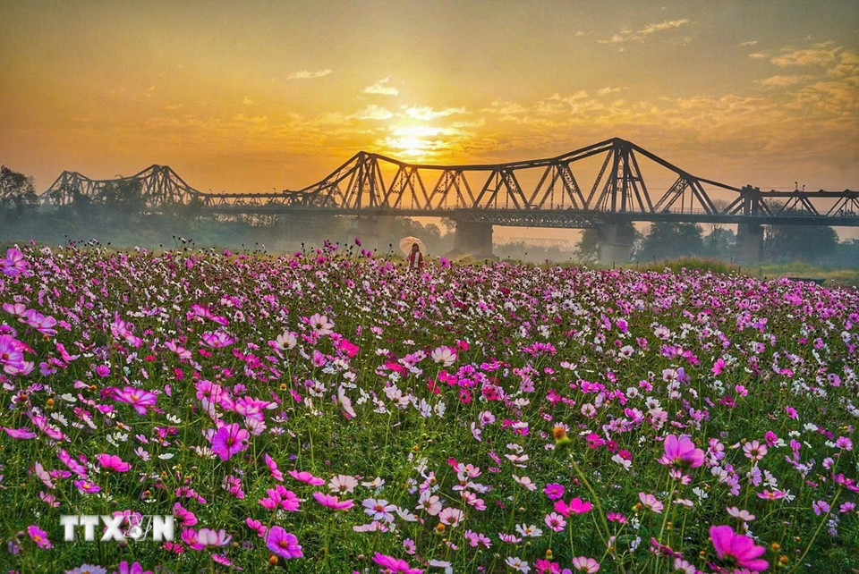 Vẻ đẹp của cầu Long Biên lúc bình minh. (Ảnh: Khánh Hòa/TTXVN)