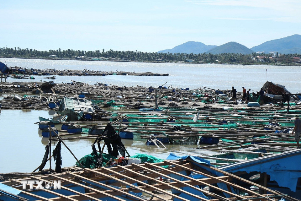 Ô lồng nuôi trồng thủy sản của người dân xã Xuân Cảnh bị hư hỏng nặng gây thiệt hại lớn cho người dân. (Ảnh: Tuấn Anh/TTXVN)
