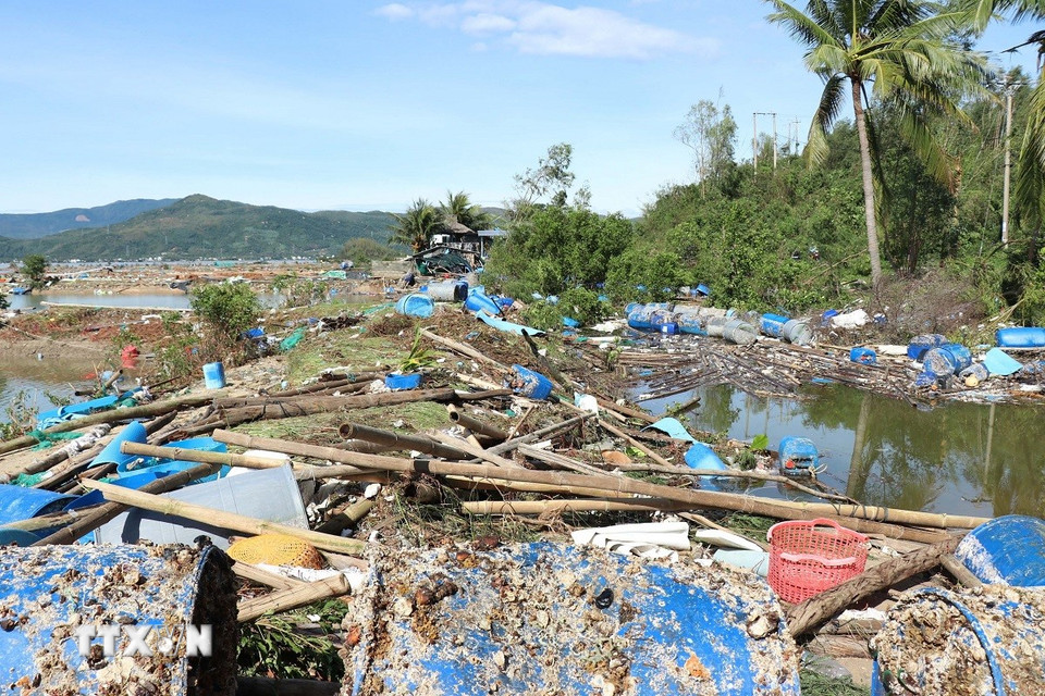 Theo báo cáo đã có 54.000 lồng bị thiệt hại, với thiệt hại ước tính khoảng 1.900 tỷ đồng. (Ảnh: Tuấn Anh/TTXVN)