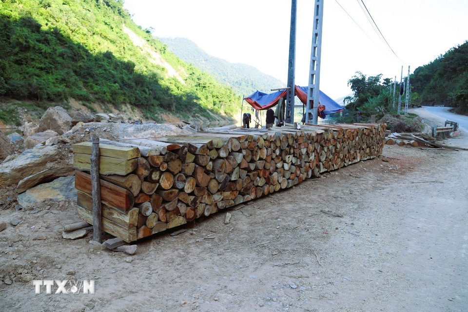 Thân gỗ tạp không thể sơ chế làm gỗ ván, cột để làm nhà được người dân cưa ngắn thành khúc, chẻ ra thành miếng bày bán dọc hai bên đường. (Ảnh: Xuân Tiến/TTXVN)