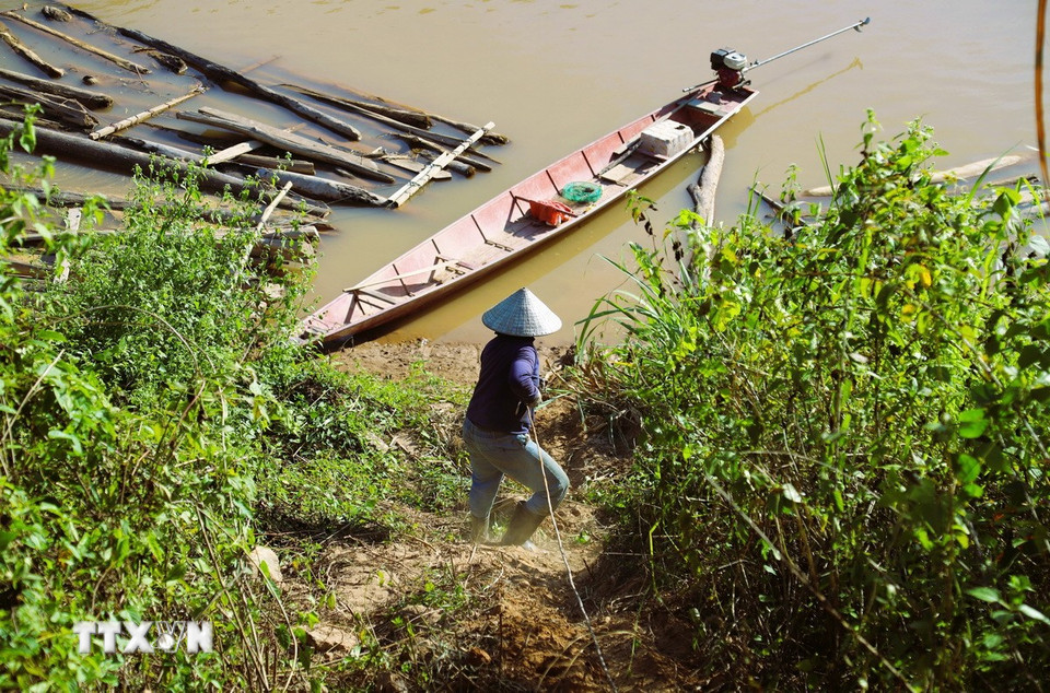 Kéo dây cáp tời trên lối mòn dốc đứng để xuống bến bãi tập kết những bè gỗ bên bờ sông Nậm Nơn. (Ảnh: Xuân Tiến/TTXVN)