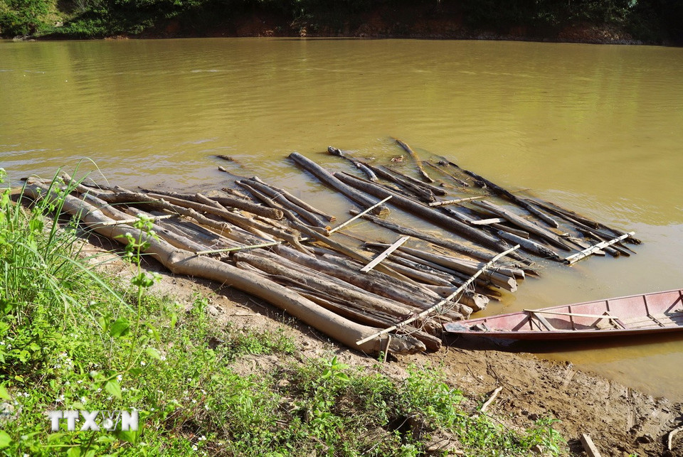 Để thuận lợi cho việc lai dắt, di chuyển gỗ từ lưu vực sông Nậm Nơn, người dân buộc gỗ lại thành mảng lớn và dùng thuyền máy kéo về. (Ảnh: Xuân Tiến/TTXVN)