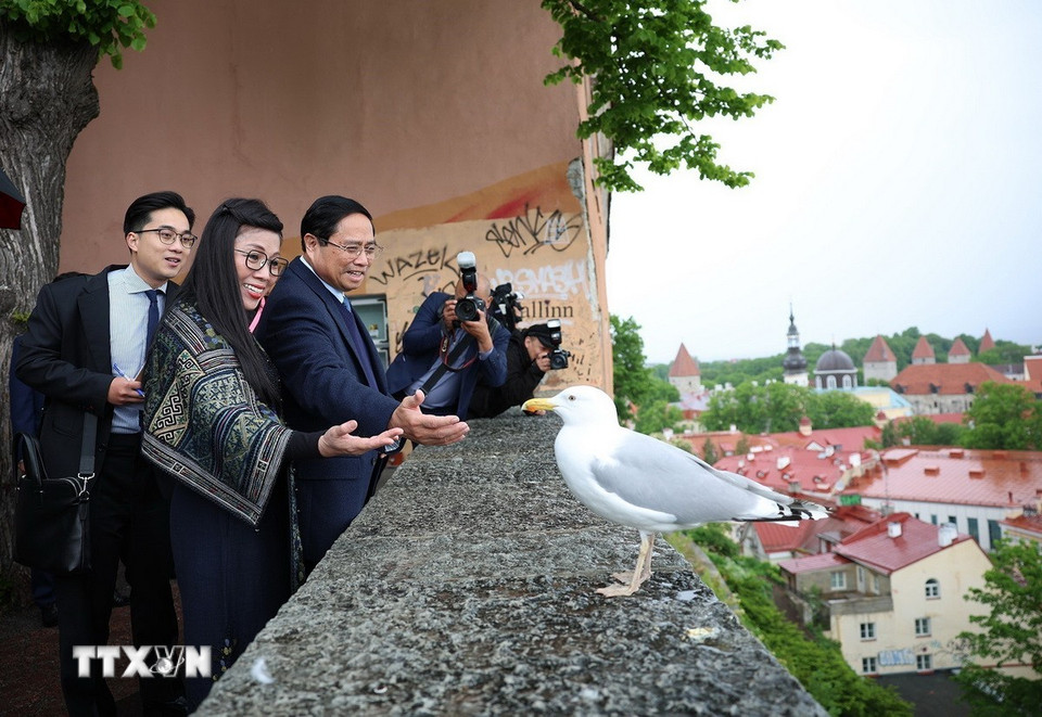 Thủ tướng Phạm Minh Chính cùng Phu nhân tham quan không gian, kiến trúc, lịch sử khu phố cổ Tallinn. (Ảnh: Dương Giang/TTXVN)
