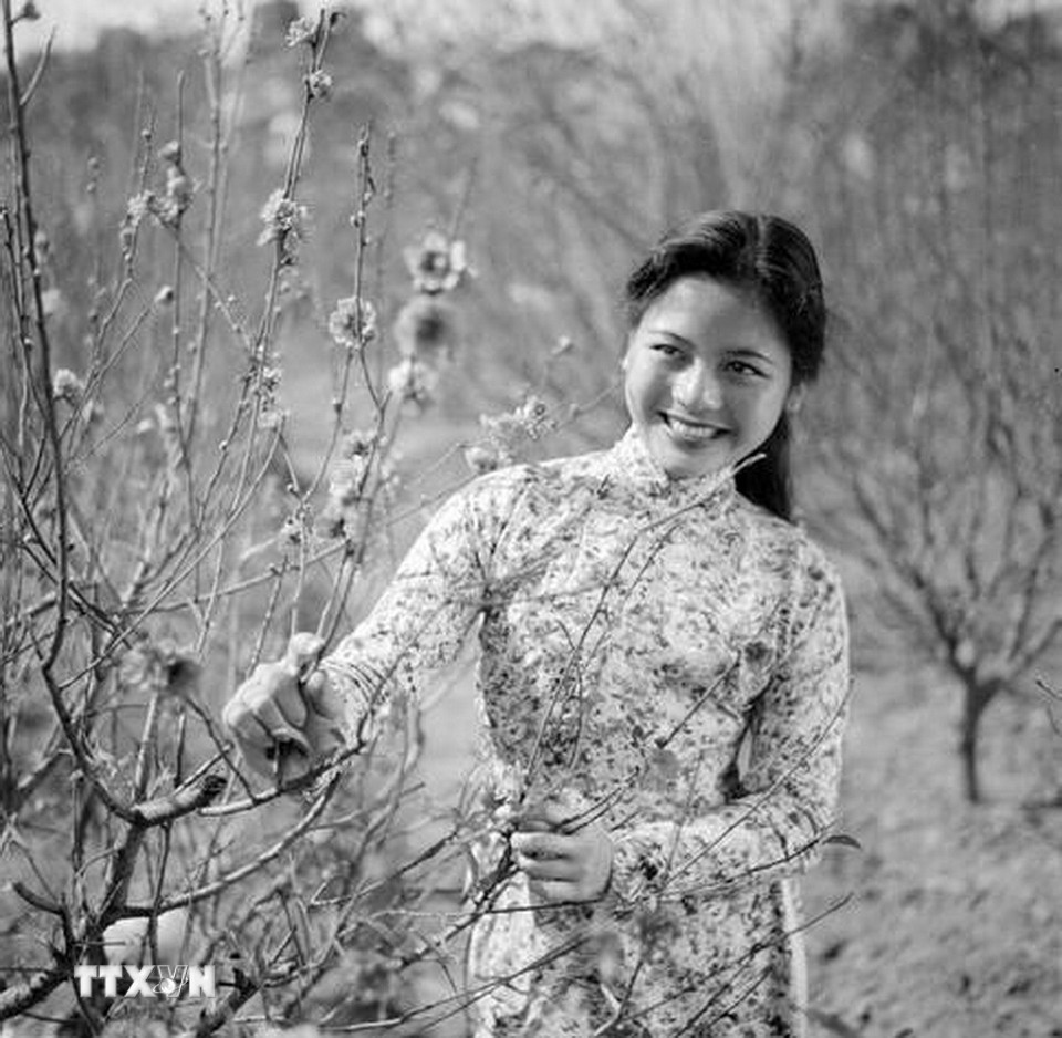 Cô gái Hà Nội tại làng hoa Nhật Tân, năm 1963. (Ảnh: TTXVN)