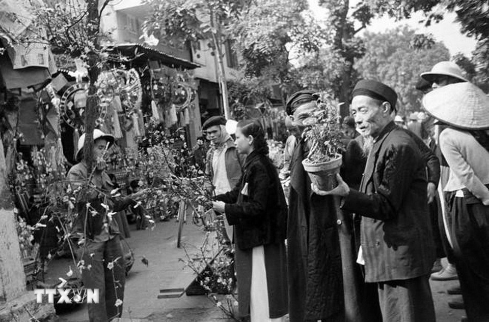 Mua hoa, cây cảnh đón Tết tại chợ hoa Hàng Lược. (Ảnh: TTXVN)