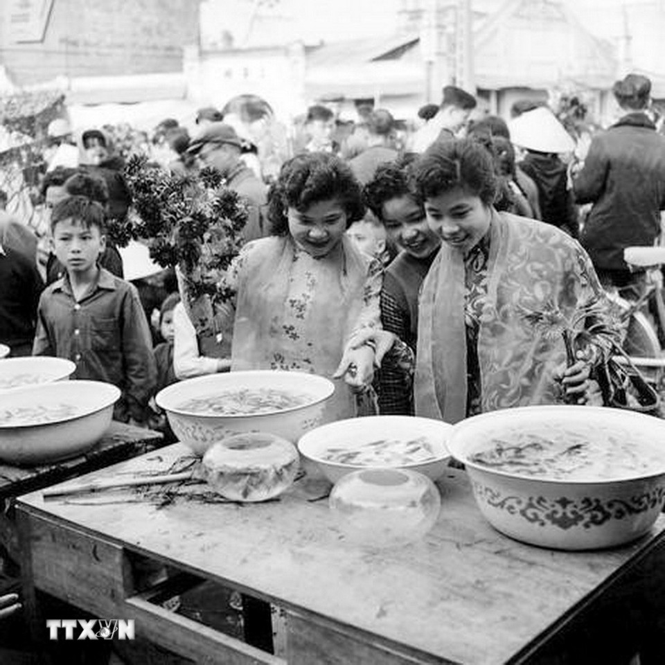 Thiếu nữ Thủ đô đi chọn cá chuẩn bị cho ngày ông Công, ông Táo. (Ảnh: TTXVN)