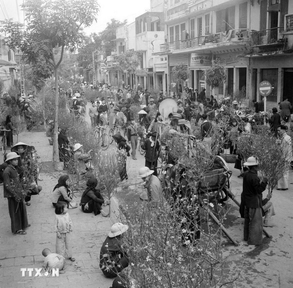 Chợ hoa Hàng Lược những ngày giáp Tết. (Ảnh: TTXVN)