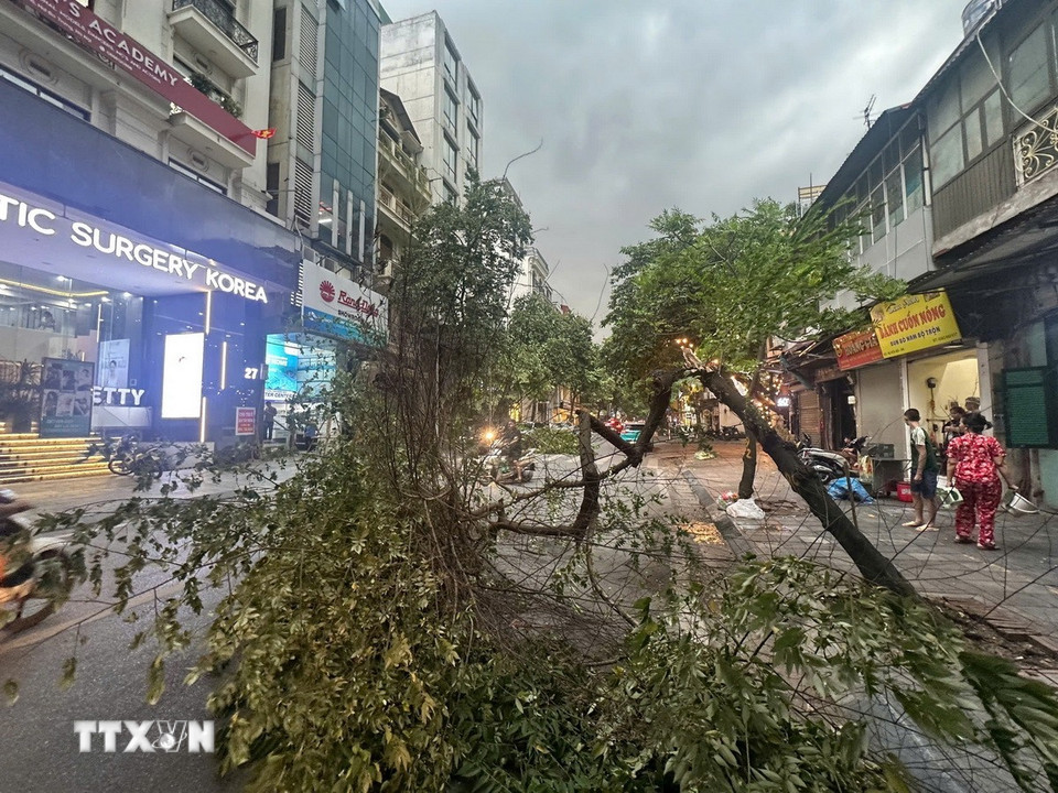 Gió giật mạnh khiến cây gãy đổ trên một số tuyến phố Hà Nội. (Ảnh: Phạm Tuấn Anh/TTXVN)