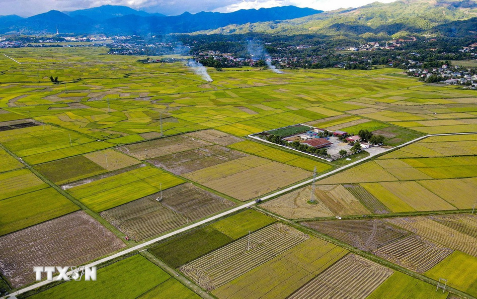 Cánh đồng Mường Thanh trải dài trên nhiều xã của huyện Điện Biên. (Ảnh: Xuân Tư/TTXVN)
