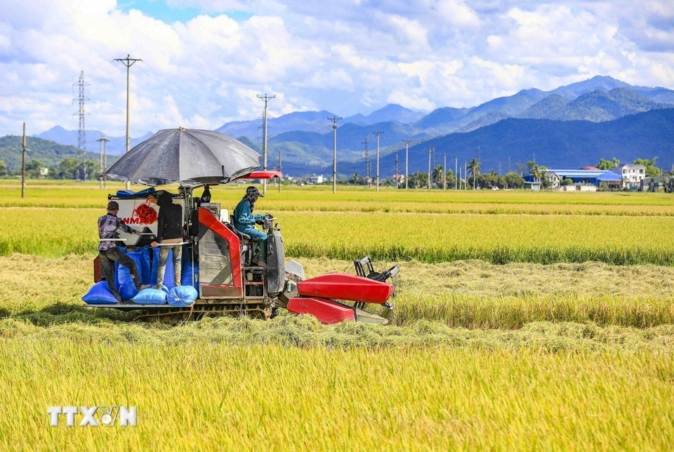 Người dân sử dụng máy gặt lúa để giảm thiểu thời gian và sức lao động. (Ảnh: Xuân Tư/TTXVN)