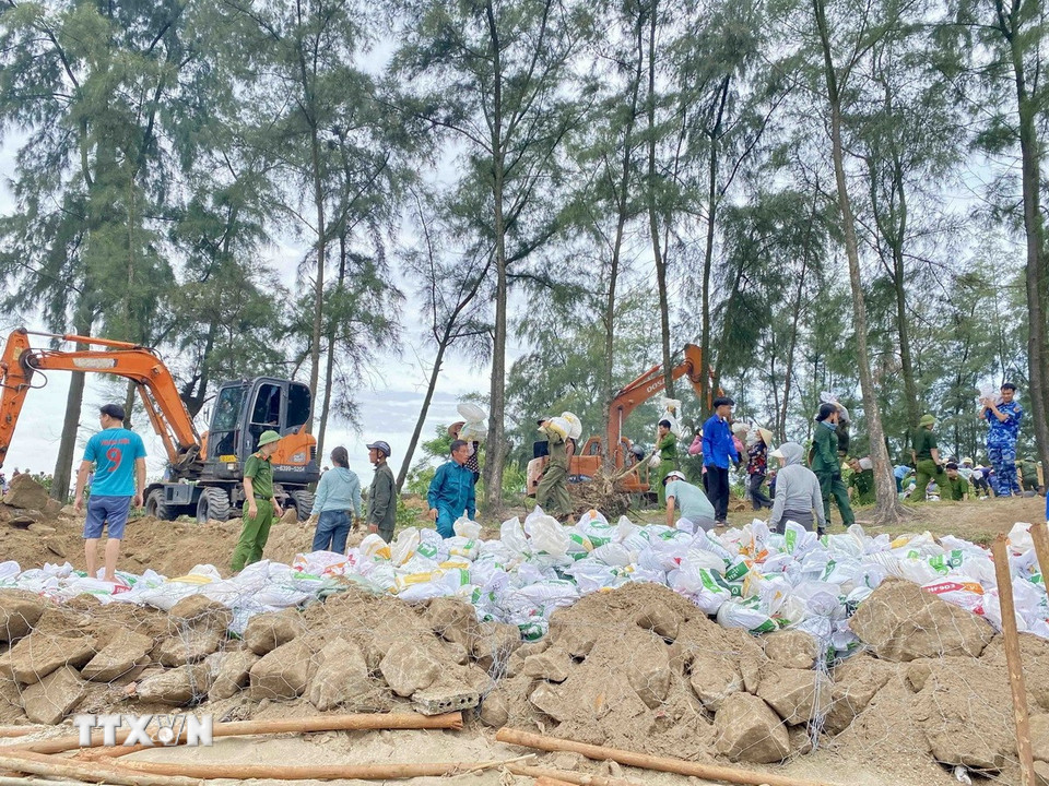 Hàng trăm cán bộ, chiến sỹ, người dân gia cố tuyến đê Hội Thống. (Ảnh: Hữu Quyết/TTXVN)