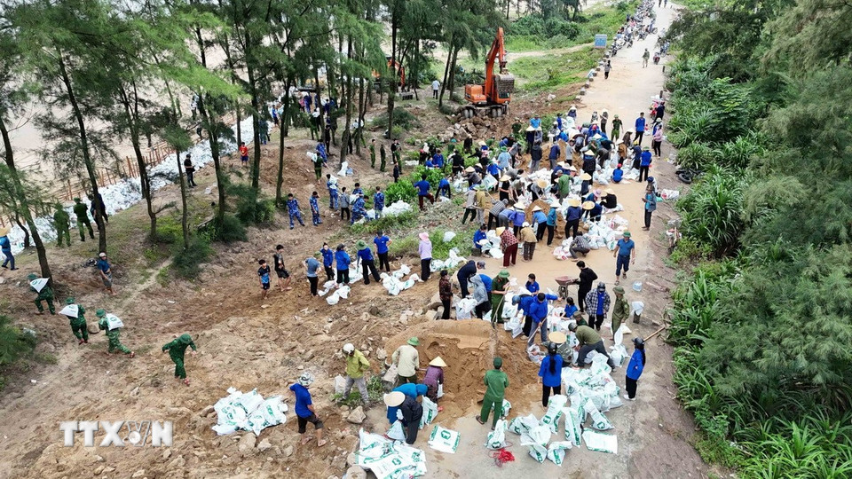 Các lực lượng tham gia gia cố tuyến đê Hội Thống. (Ảnh: Hữu Quyết/TTXVN)