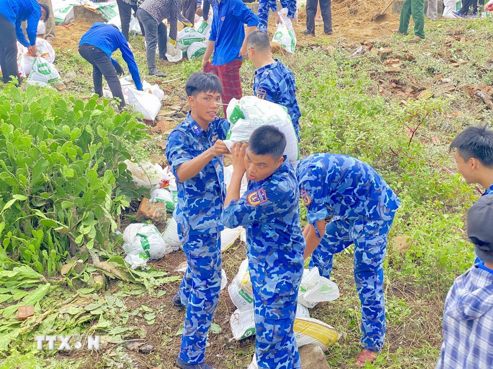 Cán bộ, chiến sỹ thuộc Hải đội 102, thuộc Bộ Tư lệnh Vùng Cảnh sát biển 1 (đóng quân ở xã Đan Hải) tham gia hỗ trợ gia cố đê. (Ảnh: Hữu Quyết/TTXVN)