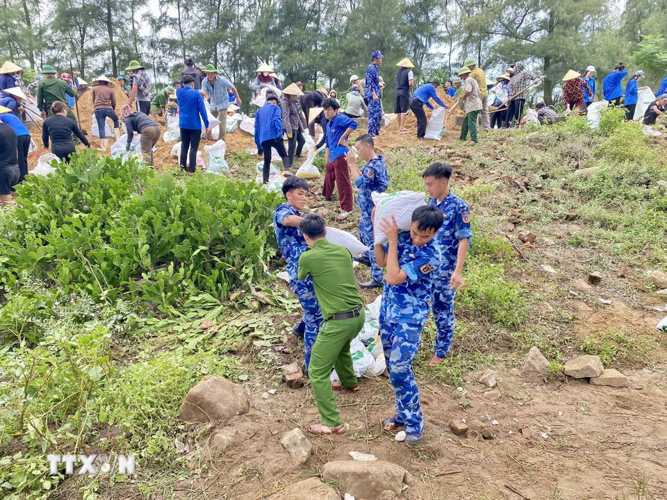 Cán bộ, chiến sỹ thuộc Hải đội 102, thuộc Bộ Tư lệnh Vùng Cảnh sát biển 1 (đóng quân ở xã Đan Hải) tham gia hỗ trợ gia cố đê. (Ảnh: Hữu Quyết/TTXVN)