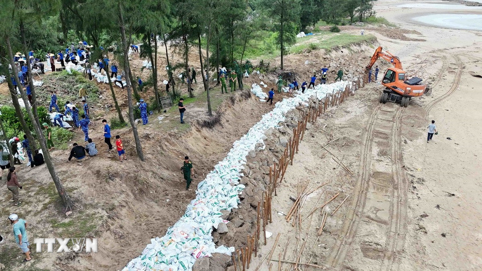 Kè bằng bao cát và cọc gỗ để gia cố đê Hội Thống nhằm hạn chế tình trạng sạt lở bờ biển. (Ảnh: Hữu Quyết/TTXVN)