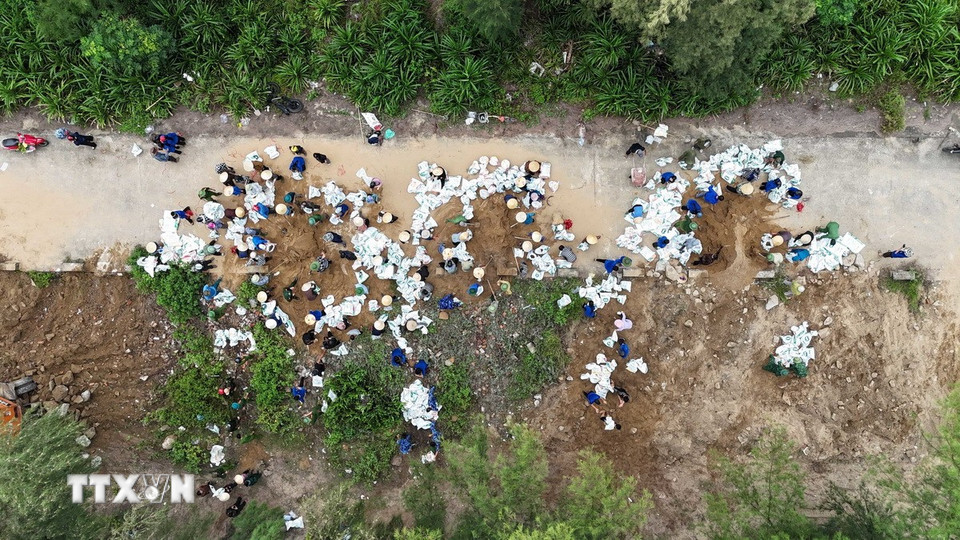 Các lực lượng tham gia gia cố tuyến đê Hội Thống. (Ảnh: Hữu Quyết/TTXVN)