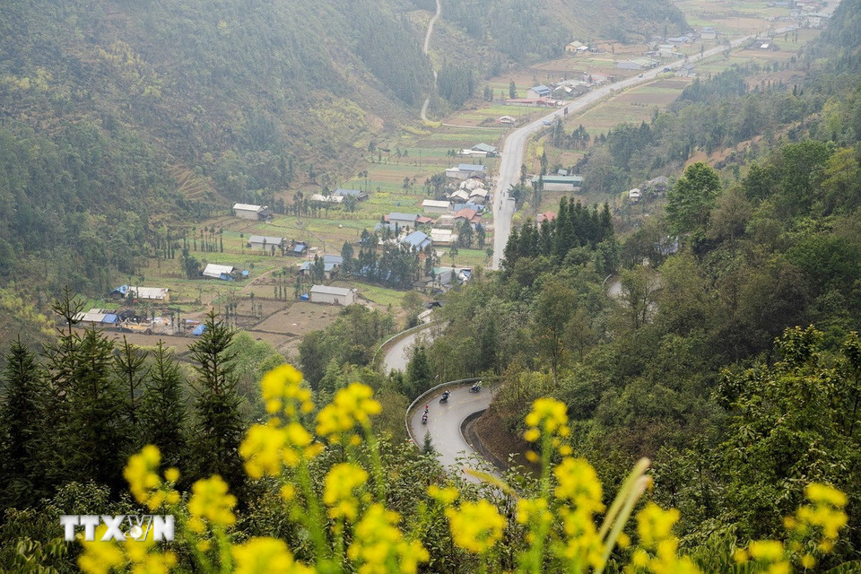 Phố Cáo là một xã vùng cao thuộc huyện Đồng Văn, tỉnh Hà Giang, từ lâu nổi tiếng với khung cảnh thiên nhiên thơ mộng, những ngôi nhà trình tường in đậm dấu ấn kiến trúc của đồng bào dân tộc Mông và những phong tục, tập quán đậm đà bản sắc. (Ảnh: Khánh Hòa/TTXVN)