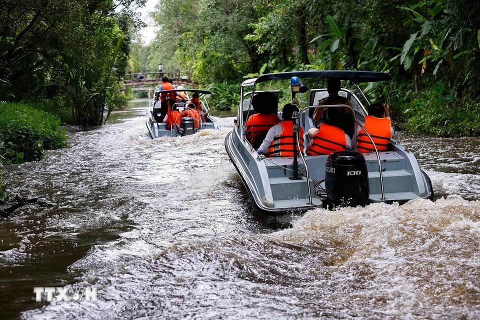 Khu Bảo tồn thiên nhiên Lung Ngọc Hoàng, Cần Thơ. (Ảnh: Doãn Tấn/TTXVN)