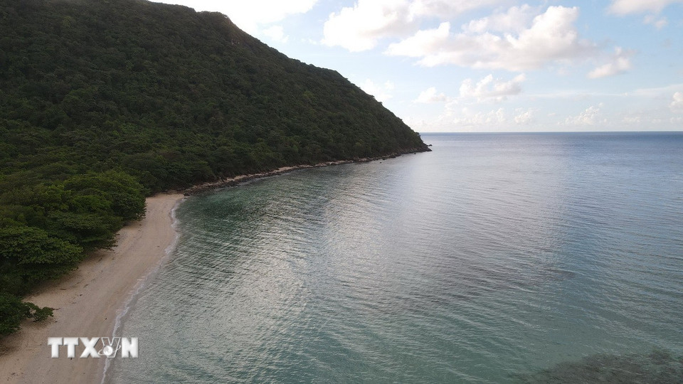 Bãi Cát Lớn-Hòn Bảy Cạnh, Vườn quốc gia Côn Đảo nơi mỗi năm hàng trăm rùa mẹ lên làm tổ, đẻ trứng. (Ảnh: Huỳnh Sơn/TTXVN)