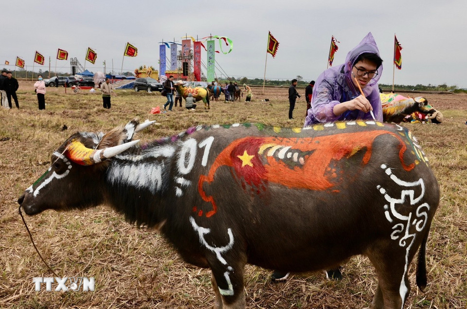 Các hoạ sỹ đang hoàn thiện vẽ trang trí trên trâu. (Ảnh: Trần Việt/TTXVN)