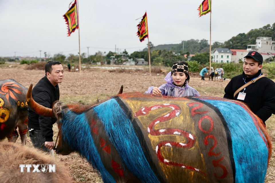 Các hoạ sỹ hoàn thiện các họa tiết hoa văn đặc sắc trang trí cho trâu. (Ảnh: Trần Việt/TTXVN)
