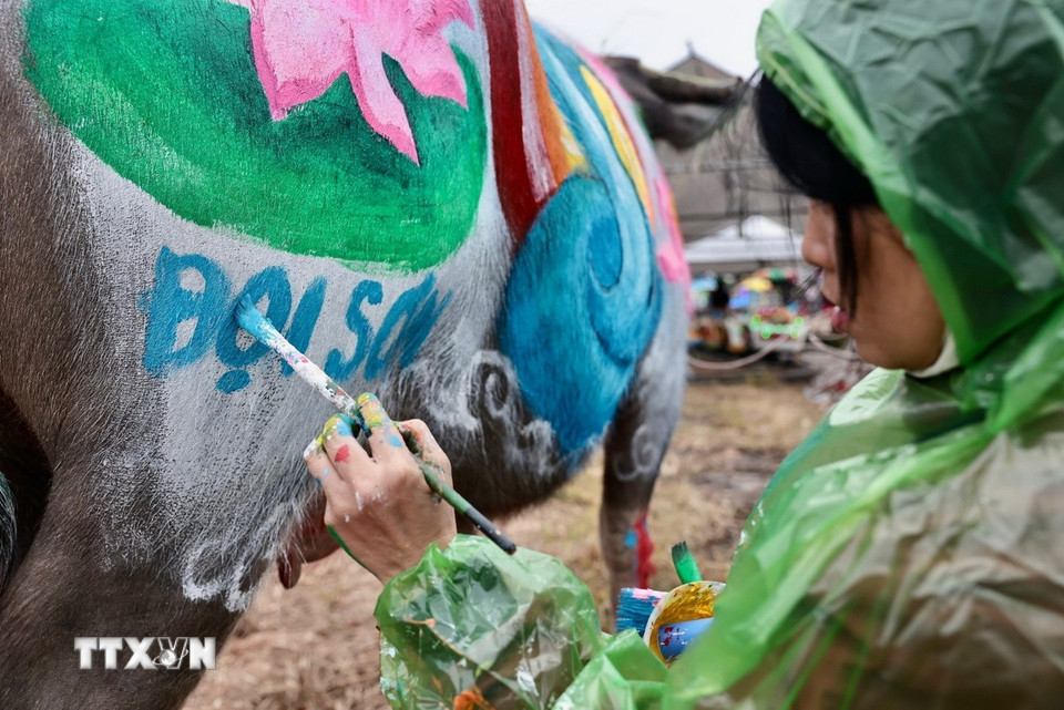 Các hoạ sỹ đang hoàn thiện vẽ trang trí trên trâu. (Ảnh: Trần Việt/TTXVN)