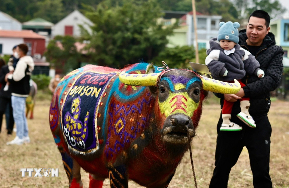 Du khách thích thú với chú trâu được trang trí họa tiết đặc sắc. (Ảnh: Trần Việt/TTXVN)