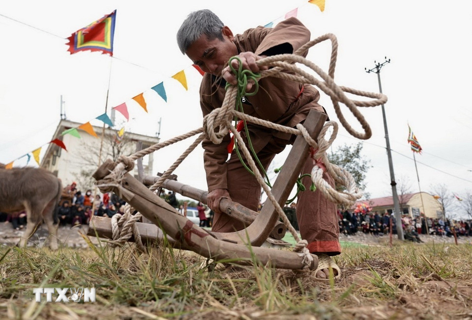 Nông dân chuẩn bị cho nghi thức cày ruộng. (Ảnh: Trần Việt/TTXVN)