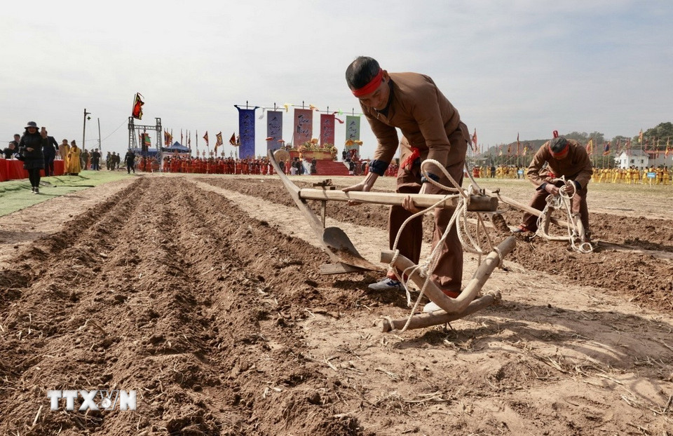 Thu dọn nông cụ sau khi thực hiện nghi thức cày đầu năm. (Ảnh: Trần Việt/TTXVN)